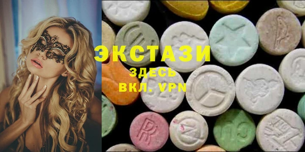 ECSTASY Гусь-Хрустальный